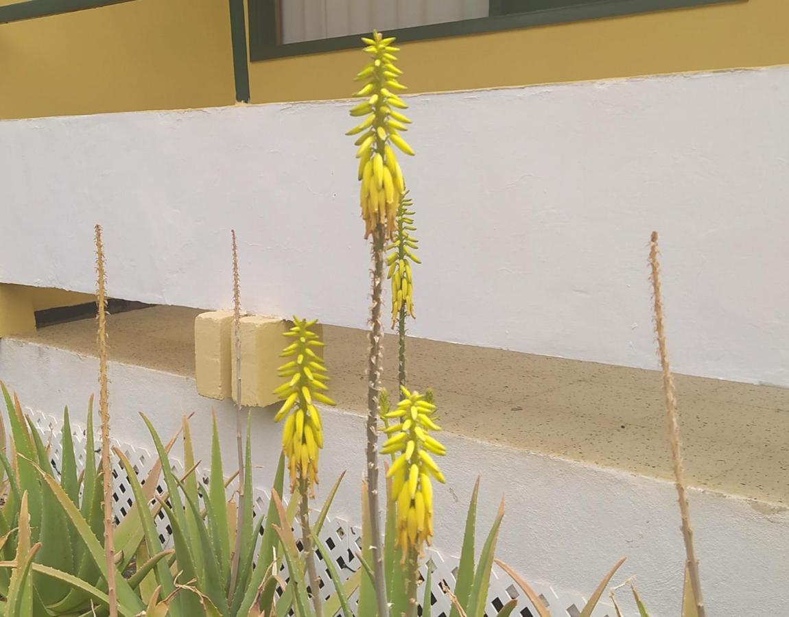 דירות פלאייה דל אינגלז Caroni מראה חיצוני תמונה